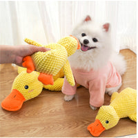 Calming Duck Toy