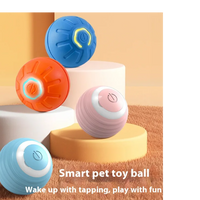 Interactive Smart Dog Toy Ball