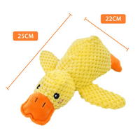Calming Duck Toy