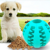Interactive Rubber Slow Feeder Dog Ball