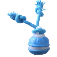 Interactive Pet Rolling Ball Toy USB Rechargeable