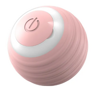 Interactive Smart Dog Toy Ball