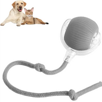 Smart Rolling Pet Ball
