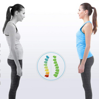 Posture Corrector